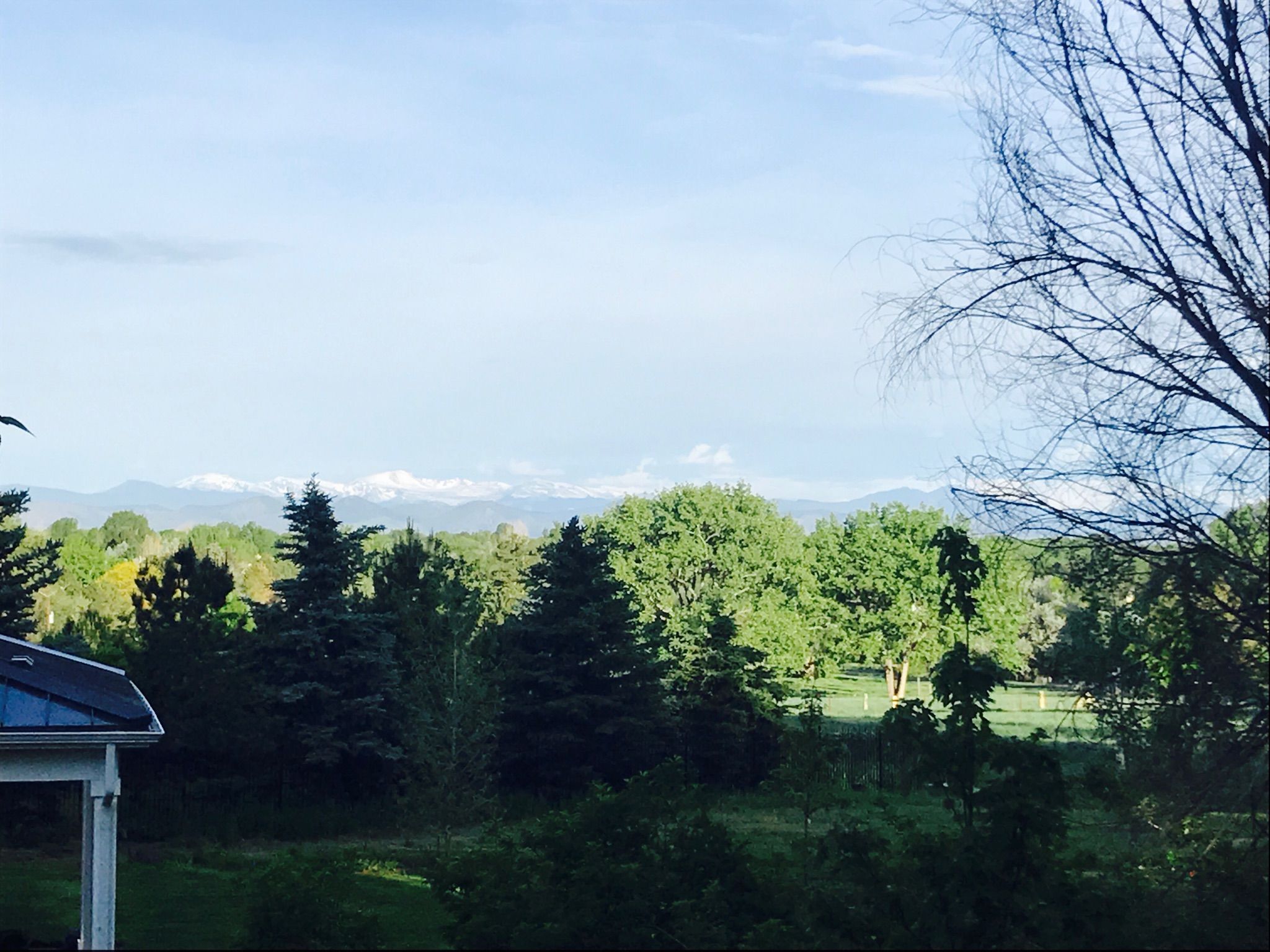 Distant snow-capped mountains visible over a dense green forest under cloudy sky. - Running loop from Greenwood Village