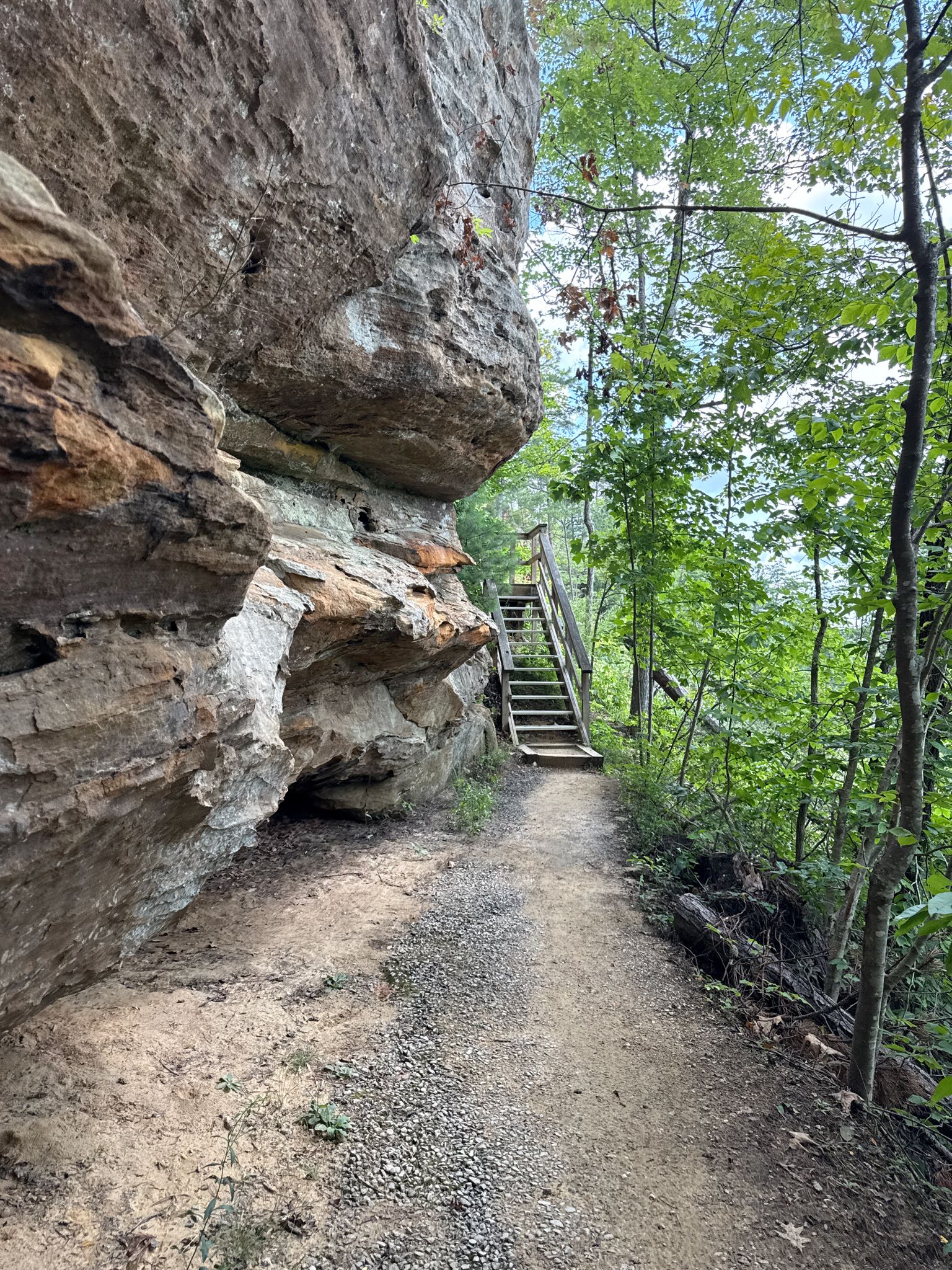 A dirt path next to a large rock wall, leading to wooden stairs in a sunny forest. - Sky Bridge Trail