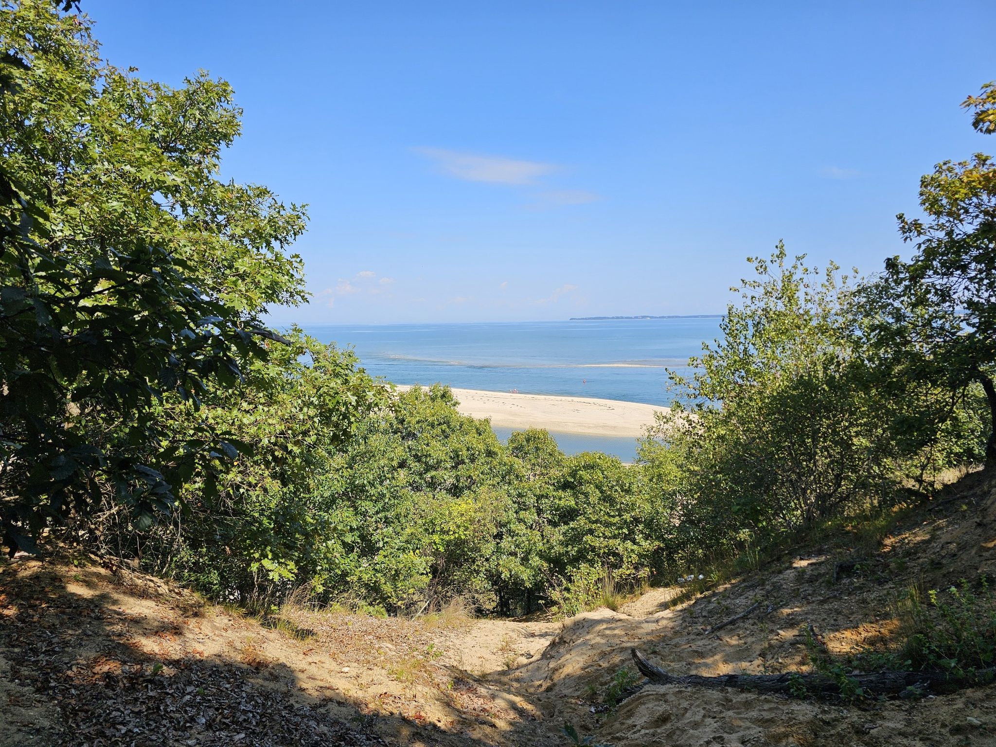A sandy path descends through green trees towards a beach and ocean. - Long Island Greenbelt Trail Loop via Old Dock Rd