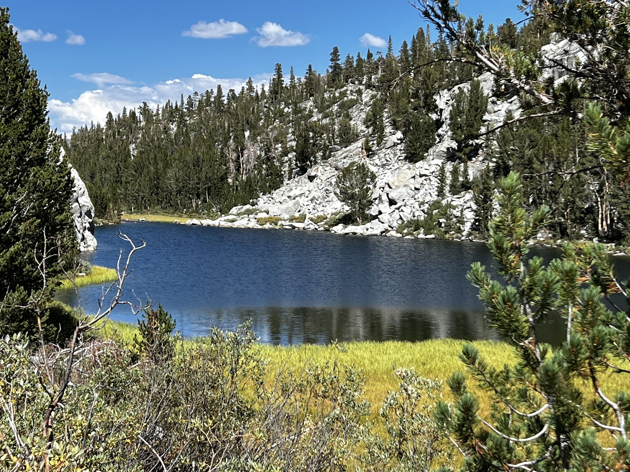 A calm lake with green reeds, surrounded by pine trees and rocky hills. - Little Lakes Valley Trail