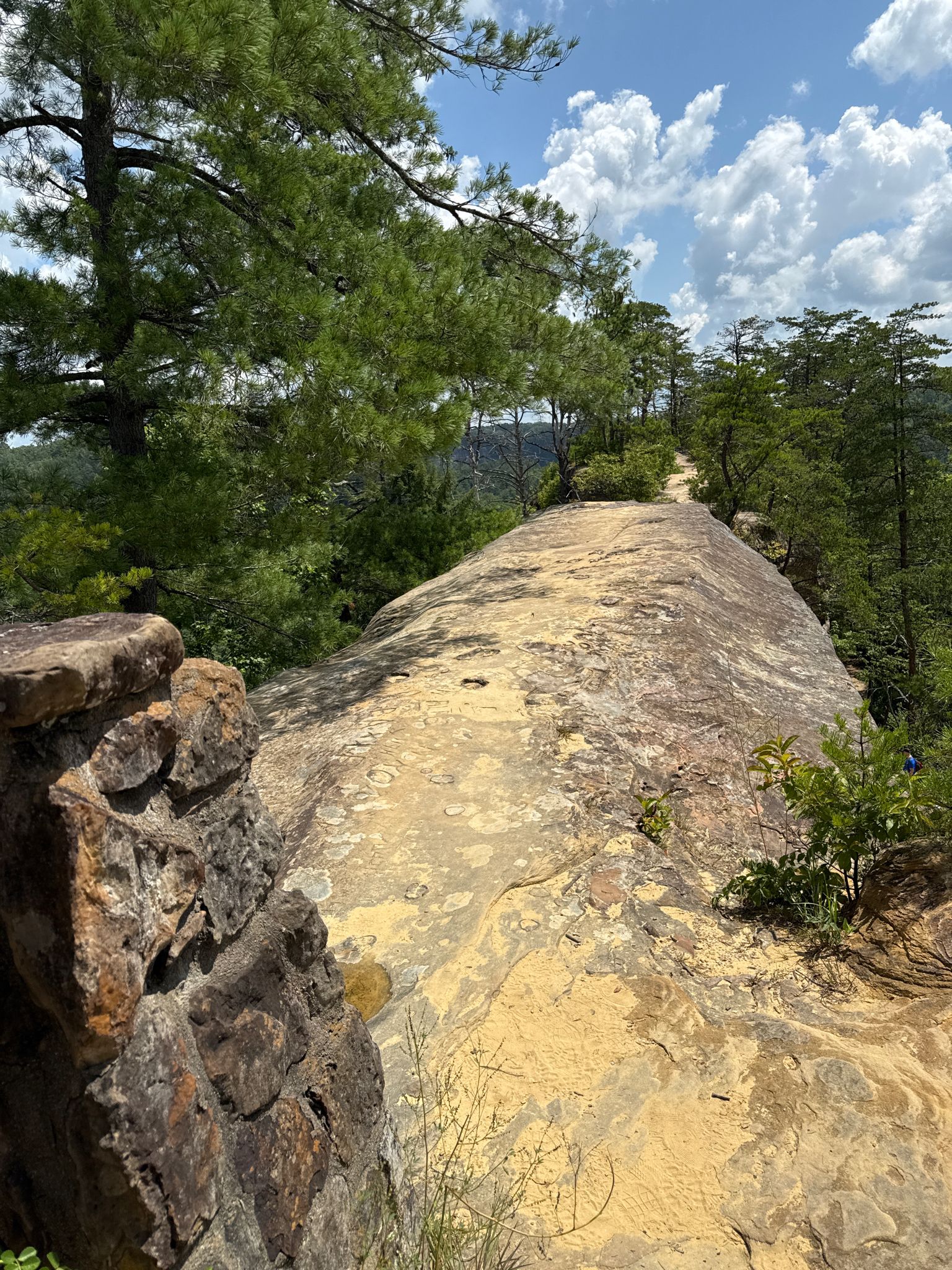 A wide rocky ridge with trees, overlooking a forested valley under a cloudy sky. - Sky Bridge Trail