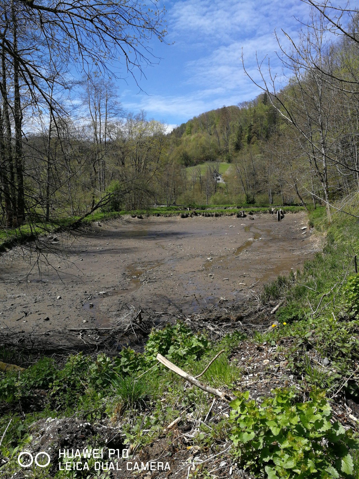 Fischweiher ohne Wasser und Fische