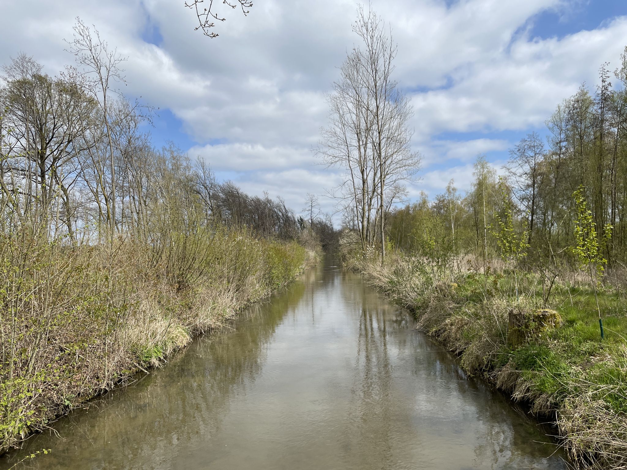 Boker Heide Kanal bei Westenholz