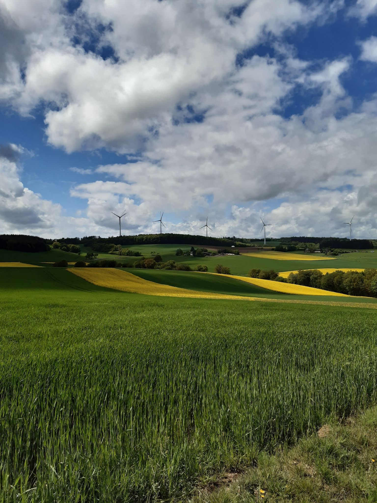Sportplatz Illerich