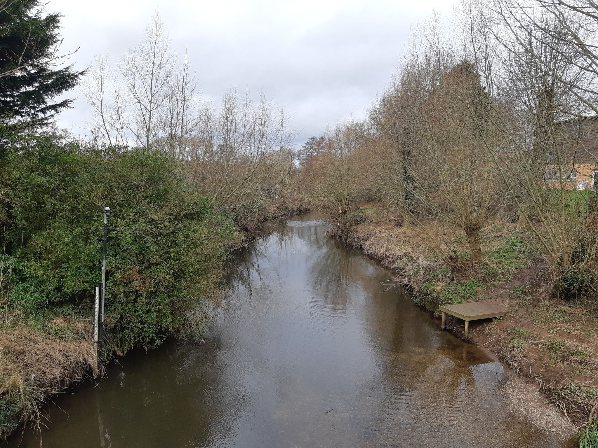 River Arrow