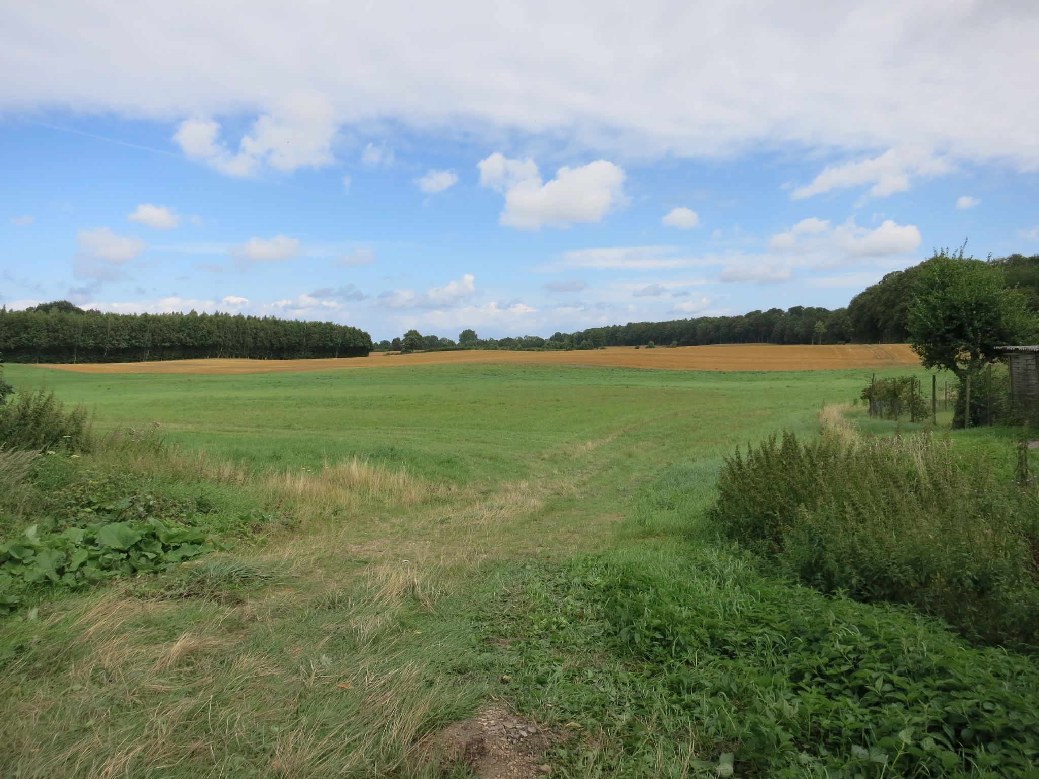 mehr sanft wellige Felder