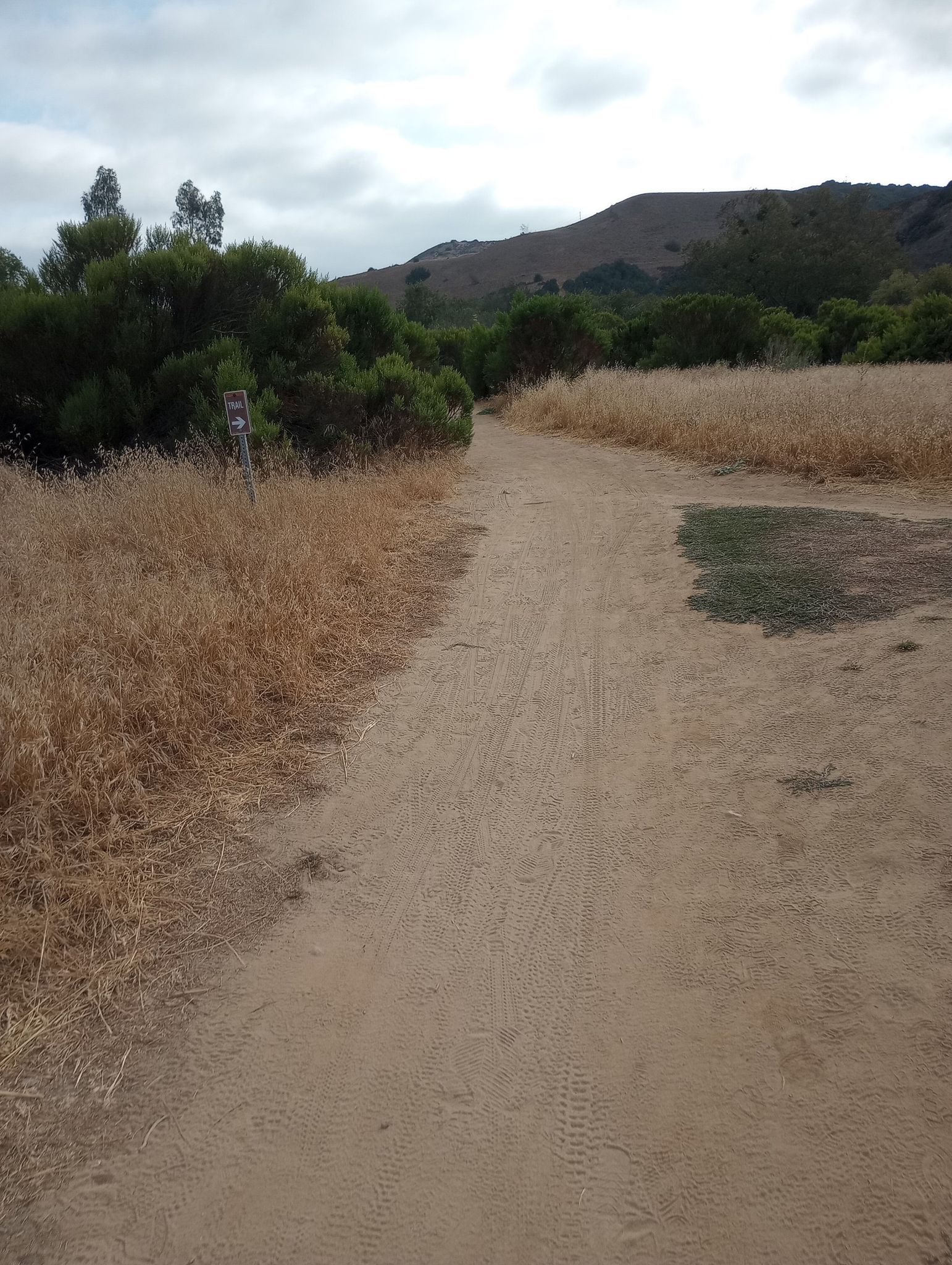 A dirt path through dry golden grass and green bushes under a cloudy sky. - Carmel Mountain loop from Sorrento Valley