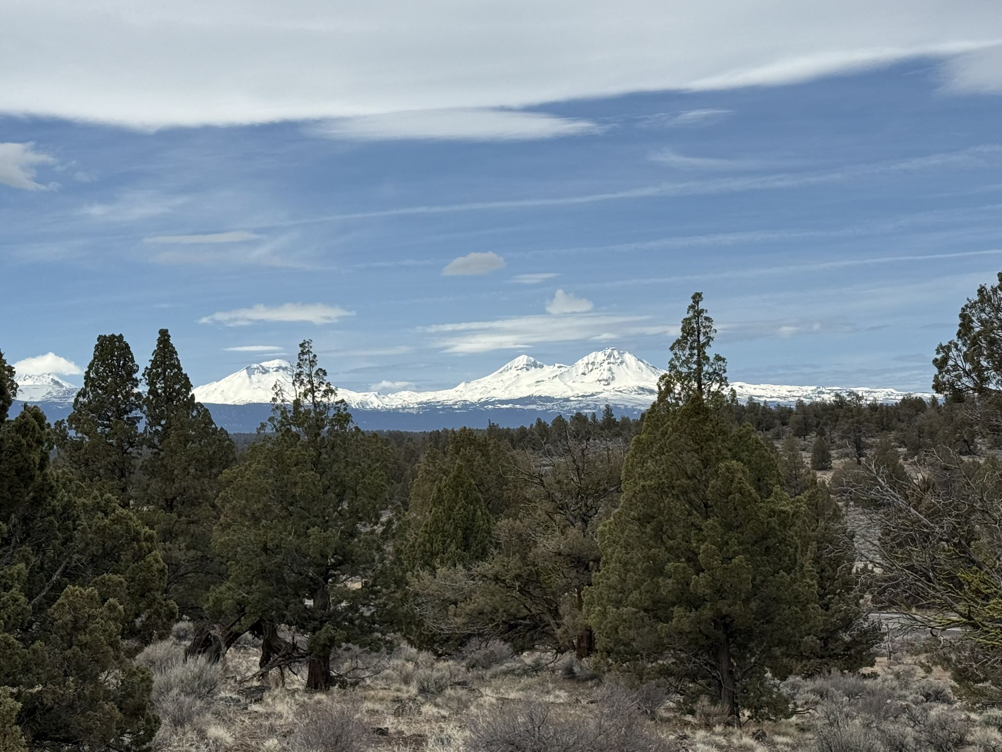 Distant snow-capped mountains rise above a dense evergreen forest under a partly cloudy sky. - Maston Outer Loop – Beginner Loop