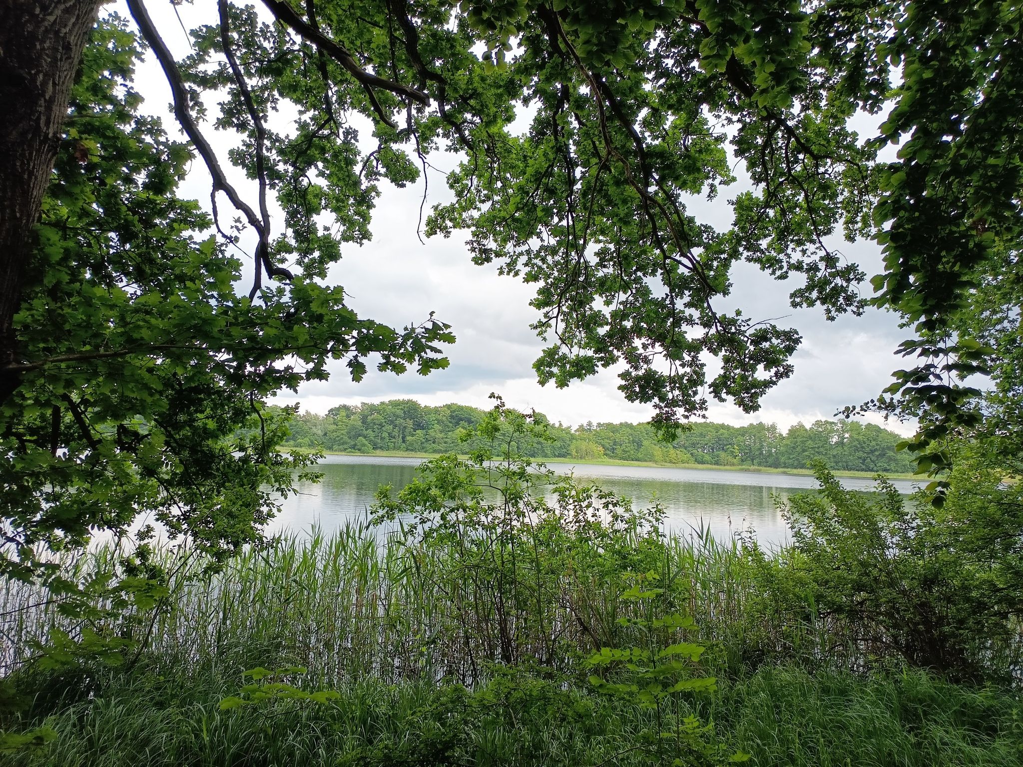 trotz Nieselregen schöne Ausblicke