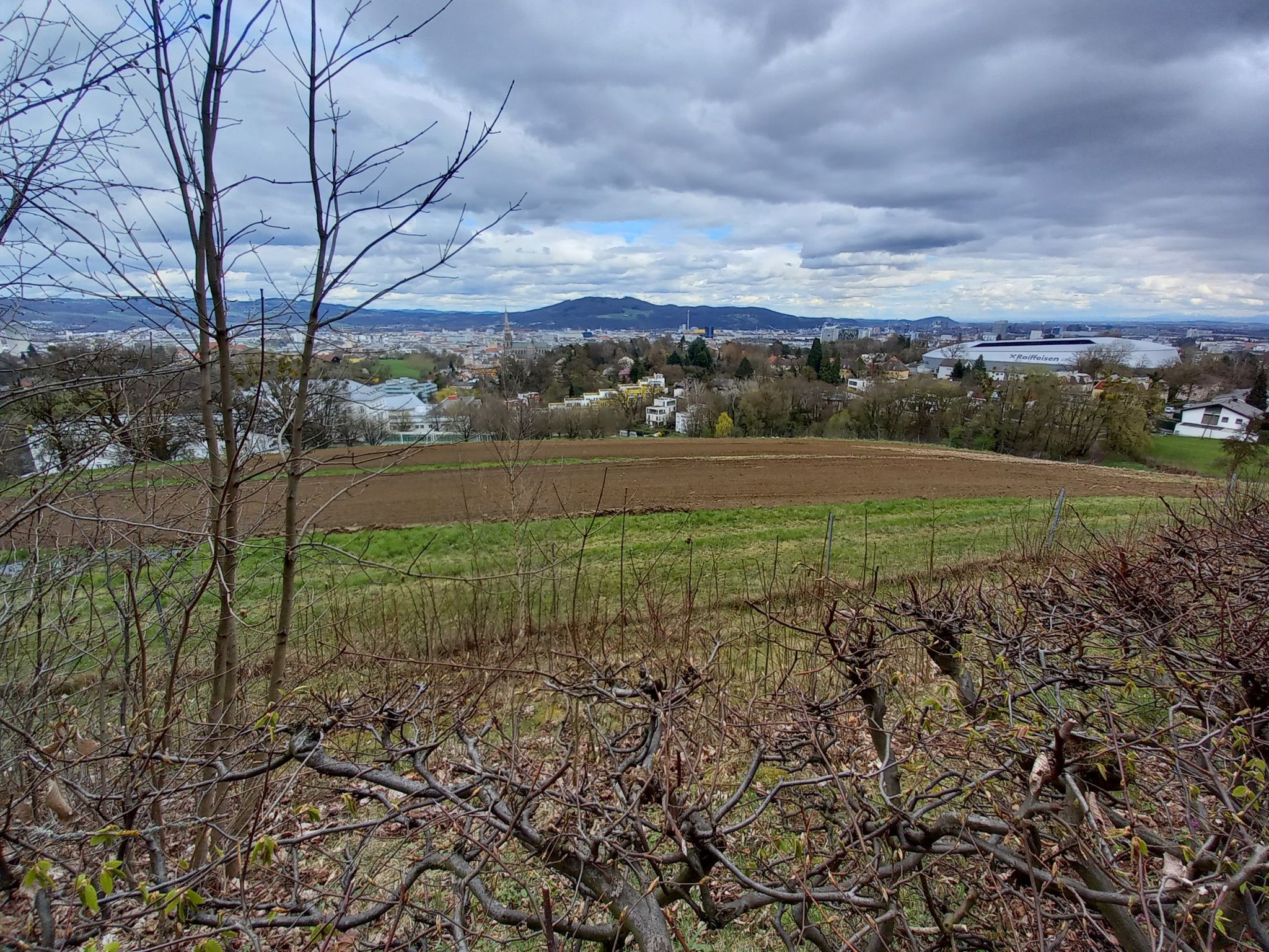 Blick zum neuen Stadion am Froschberg