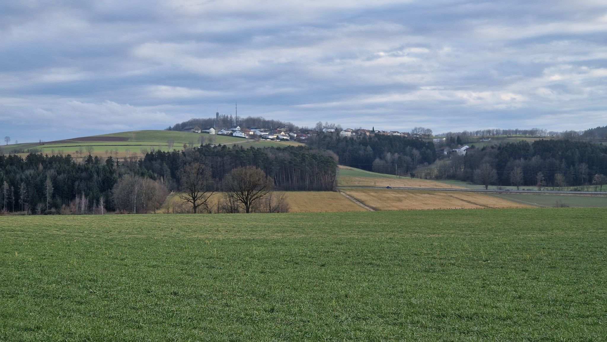 Blick zur Luitpoldhöhe und Katzberg