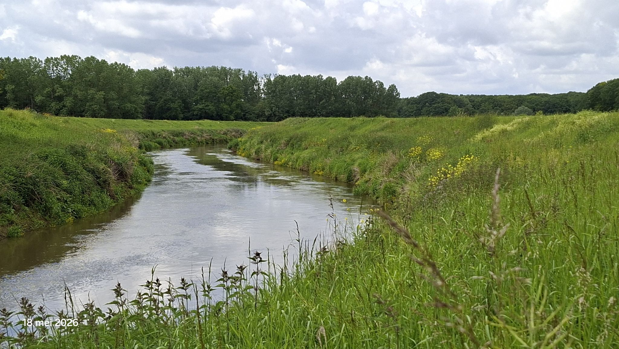 de meanders van de Dijle