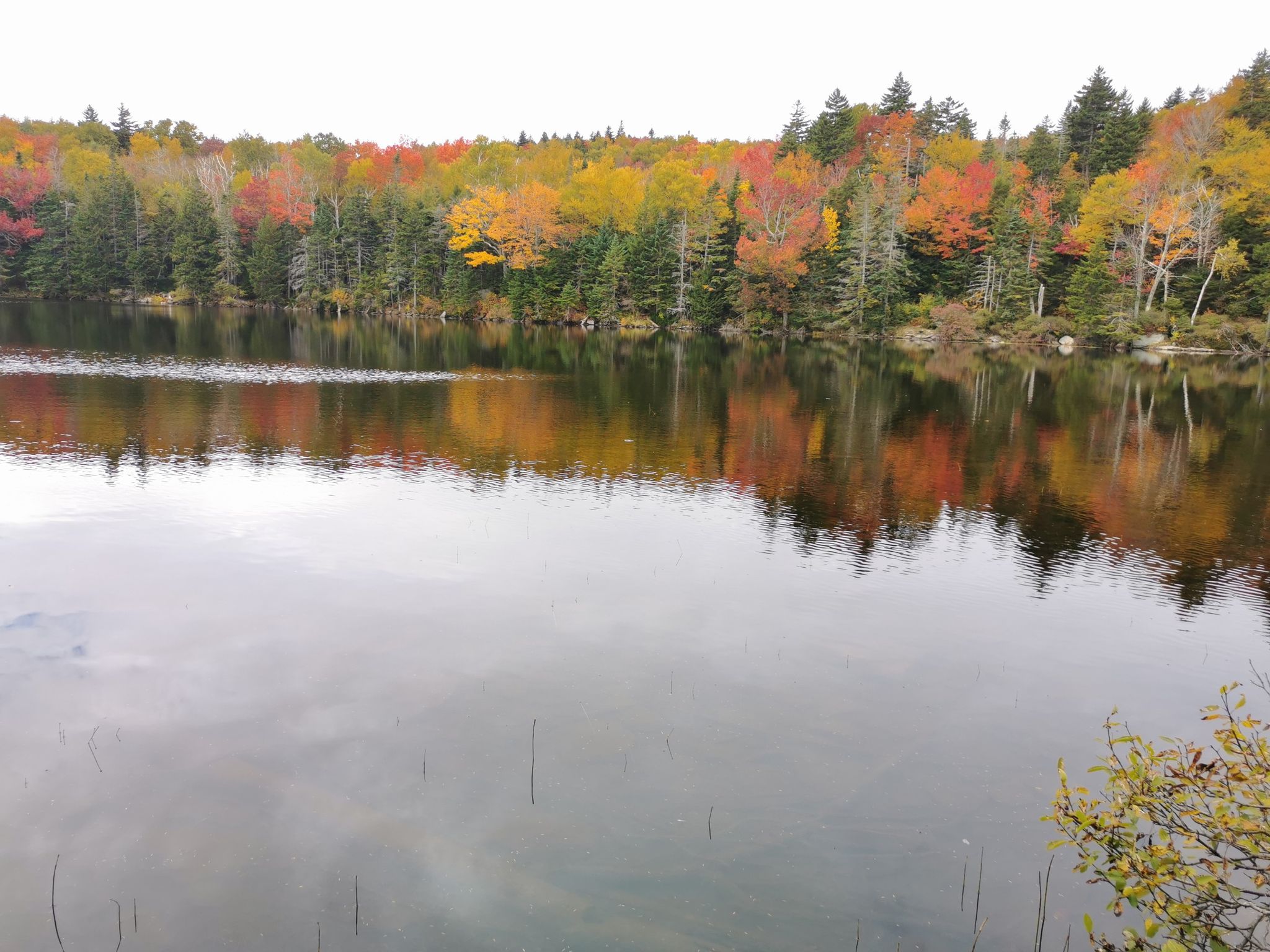 Lake reflecting vibrant autumn trees under a bright, overcast sky. - Griffith Lake – Peru Peak loop from Styles Peak