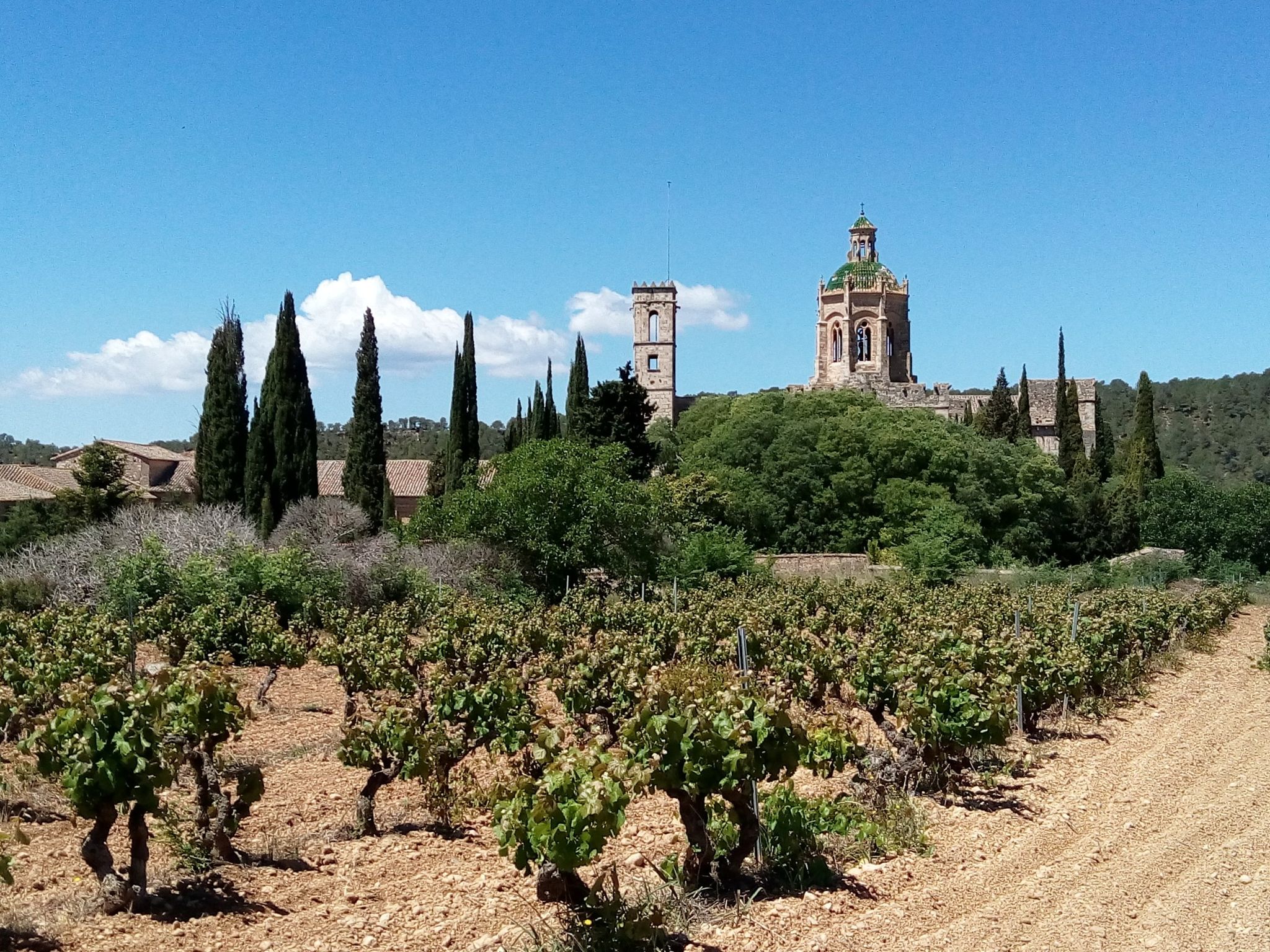 Santes Creus