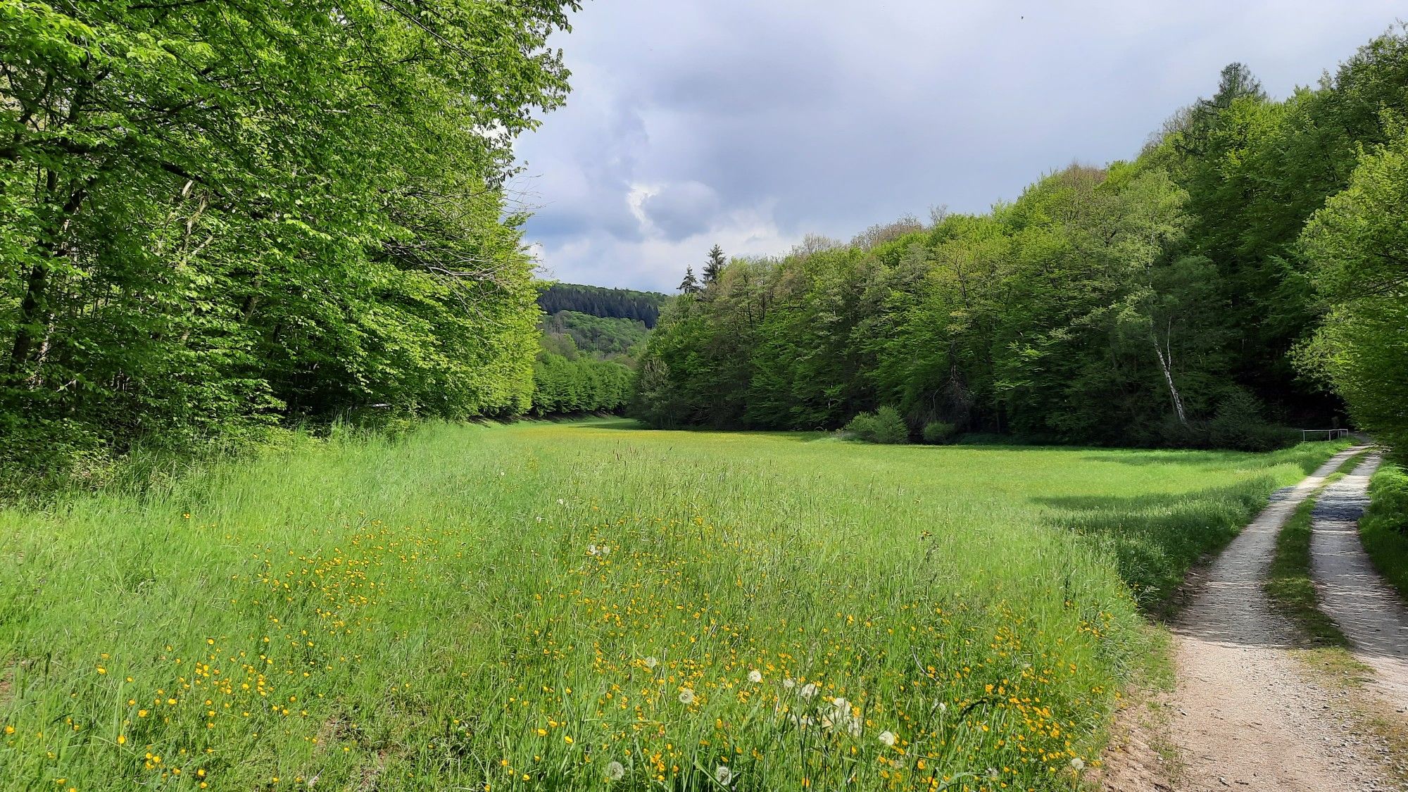 Am Wiesbach bei Audenschmiede