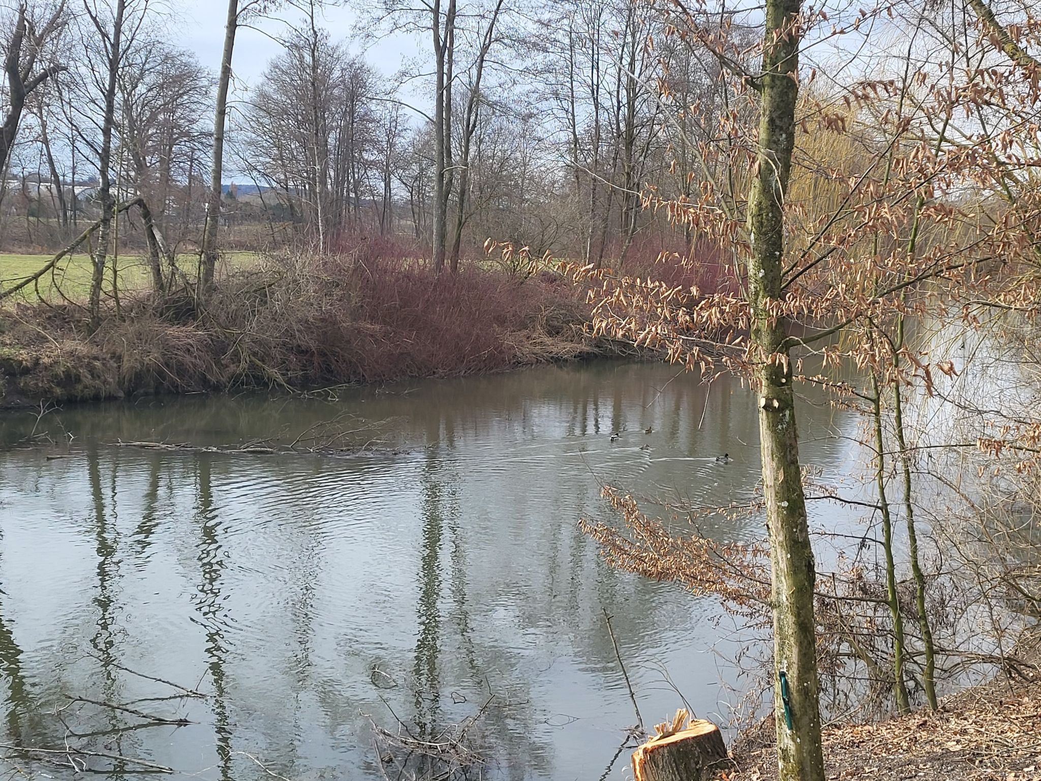 Die Pram in Windten