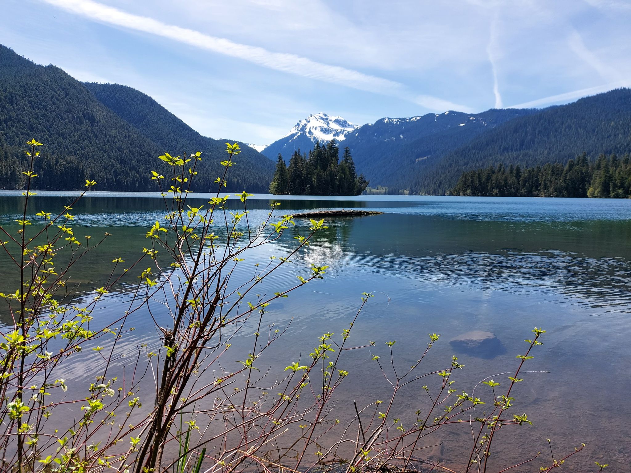 Sunny lake with forested mountains, a small island, and foreground branches. - Packwood Lake Loop – Gifford Pinchot National Forest