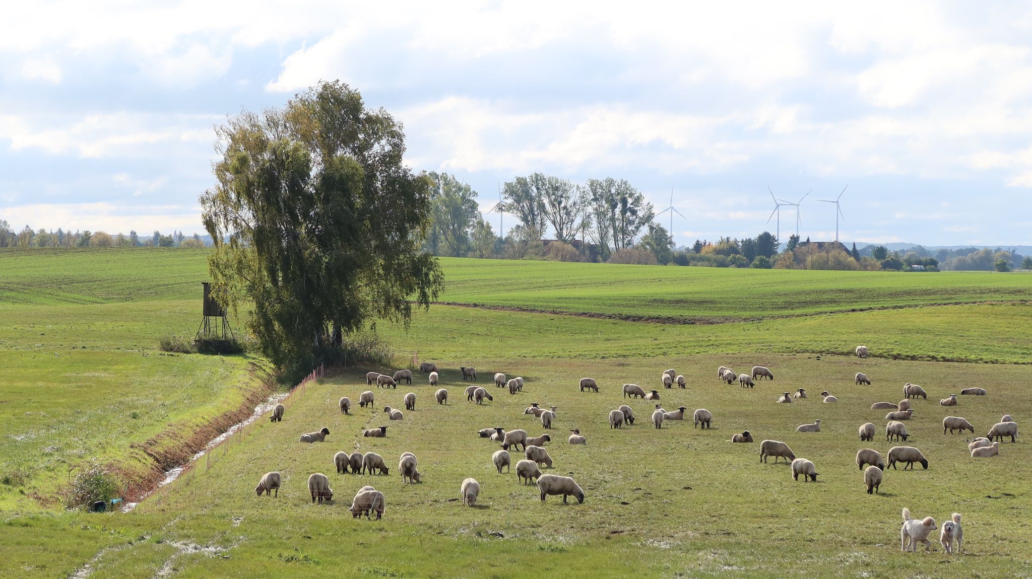 Idylle in Meck.-Pomm.