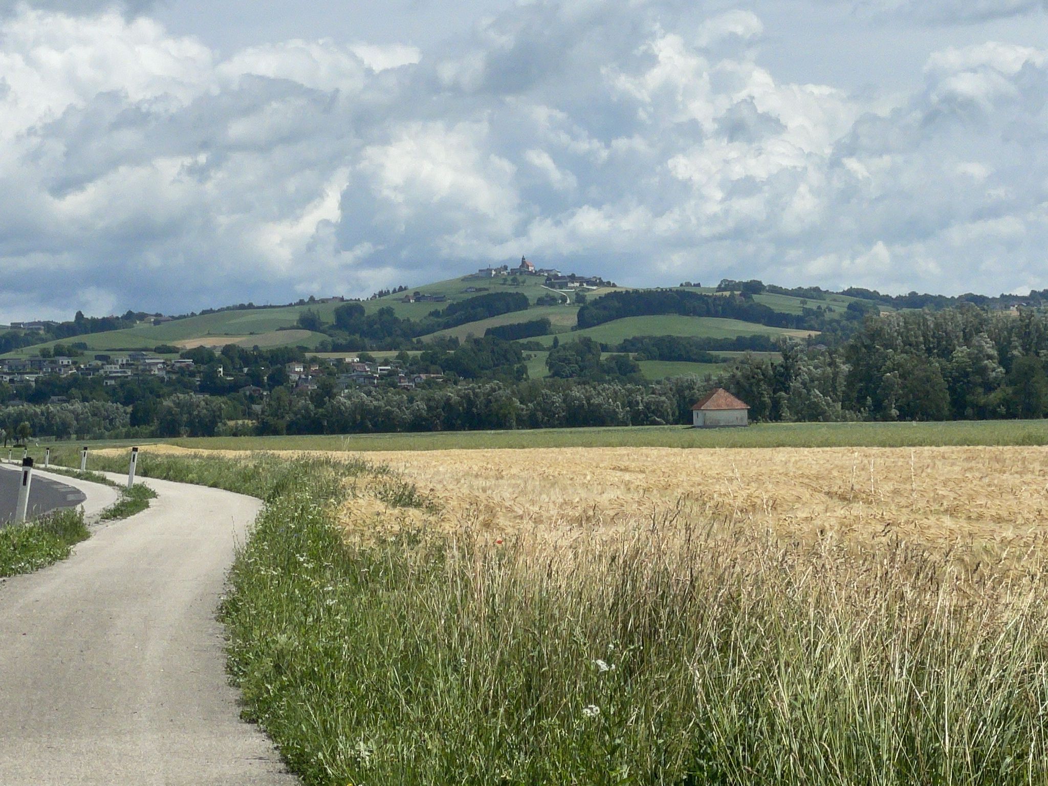 Leicht hügelig, viel Landwirtschaft