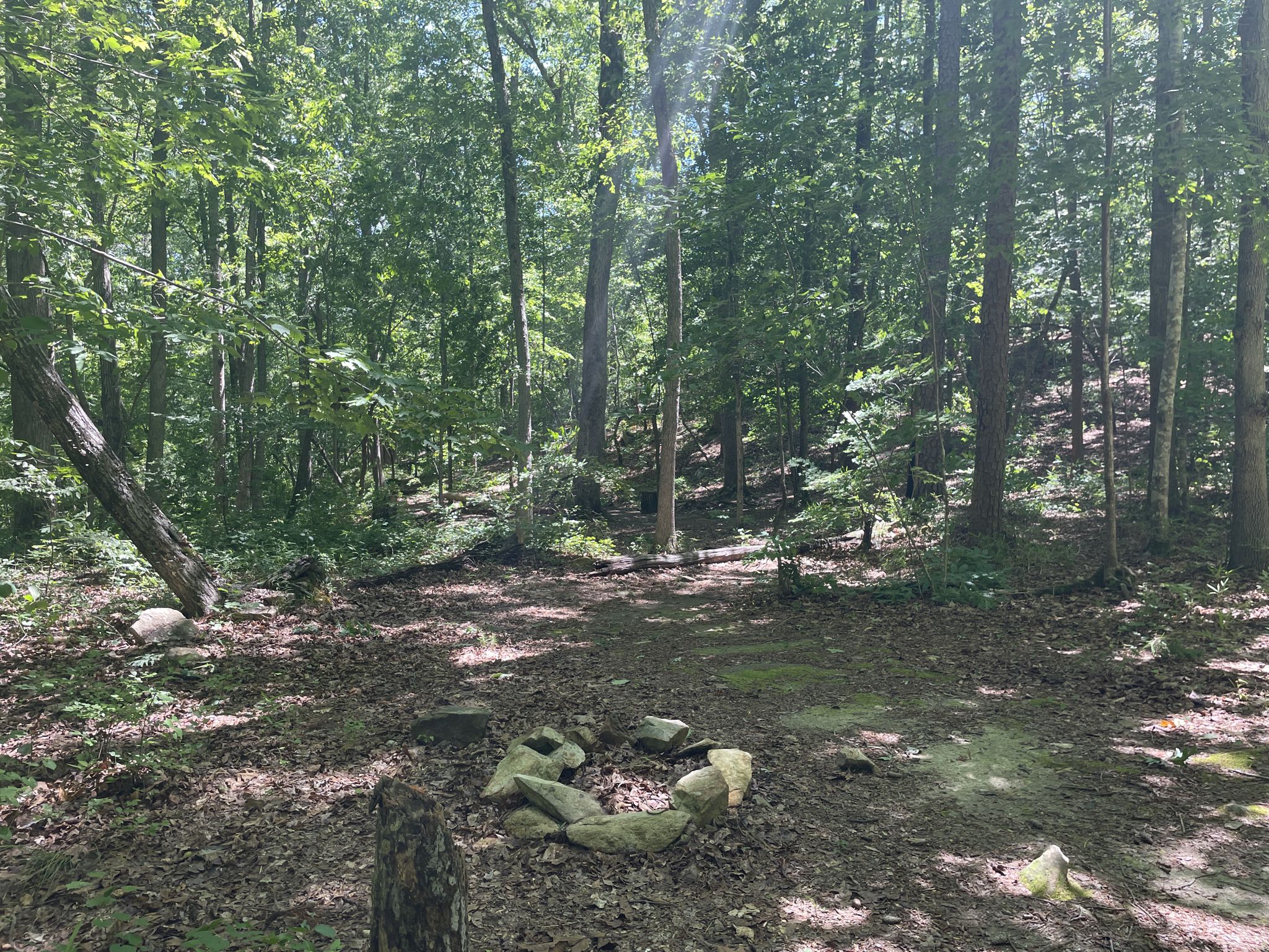A forest clearing with a rock fire ring, surrounded by green trees. - Uwharrie and Dutchman's Creek Loop