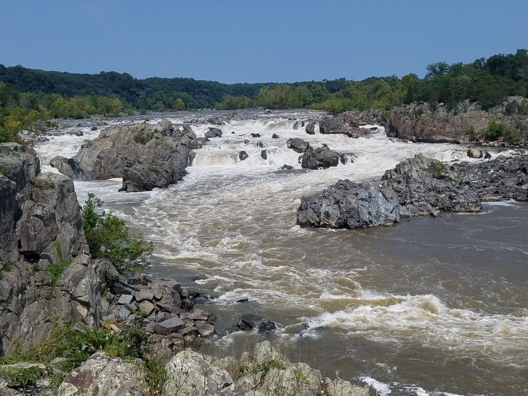 Wide river with turbulent rapids and rocky islands under a bright blue sky. - Great Falls Park to Riverbend Park Loop