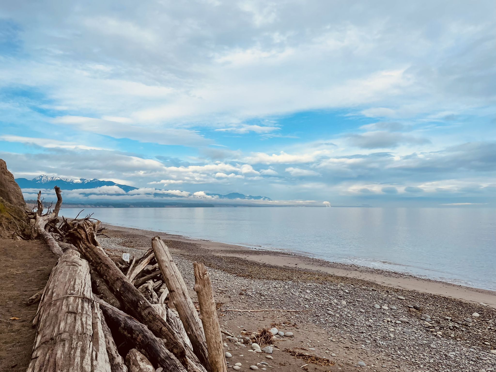 Large driftwood logs on a rocky beach beside calm water, cloudy sky. - Primitive Trail Loop