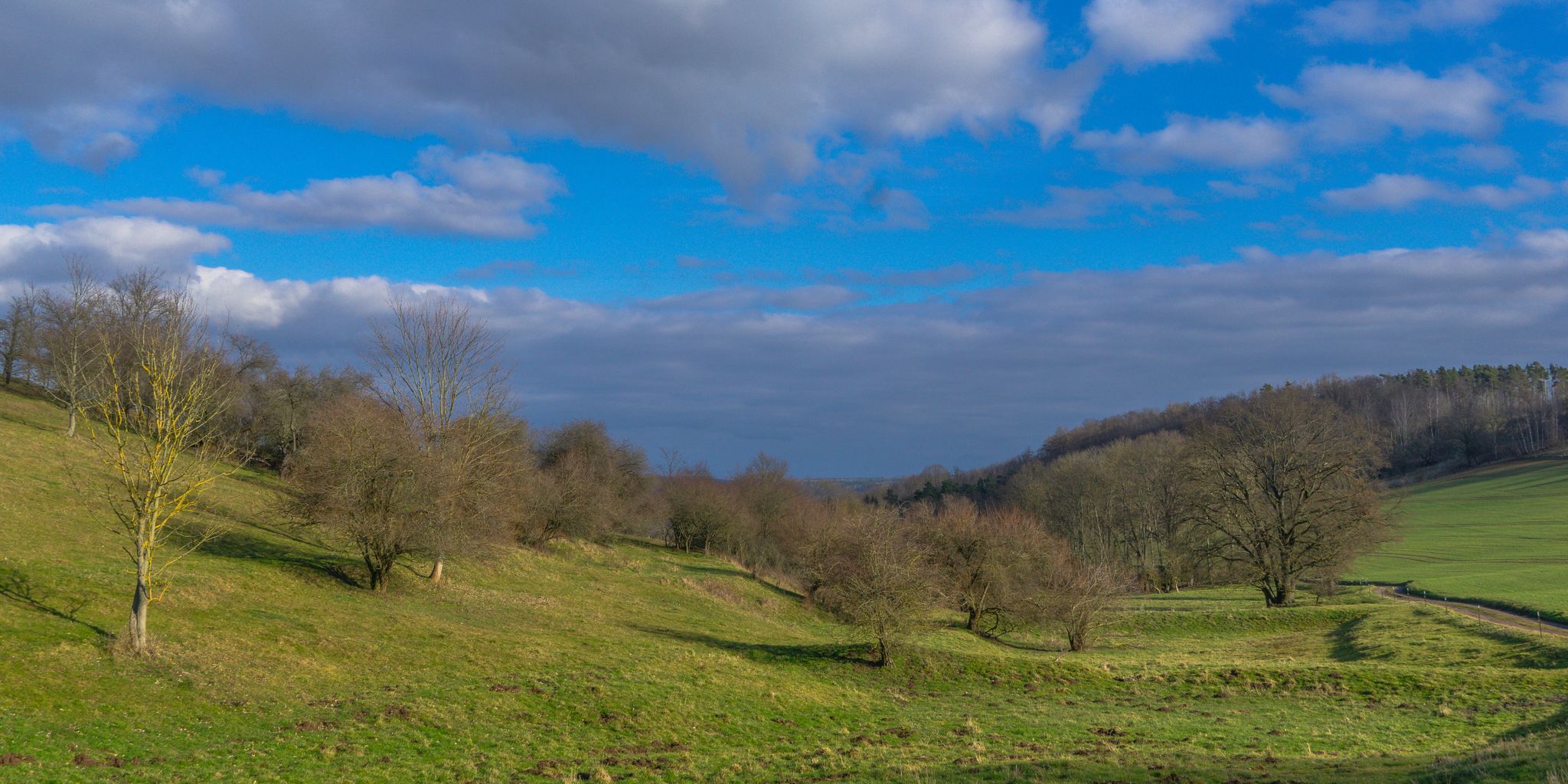 Wiesen bei Etzdorf