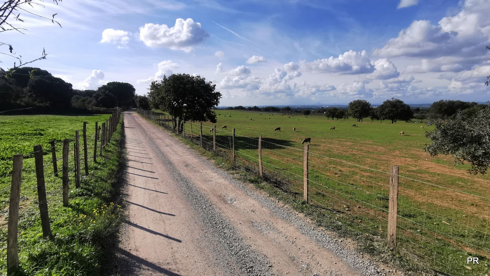 Superbe piste gravel entre Beauvoisin et Vauvert