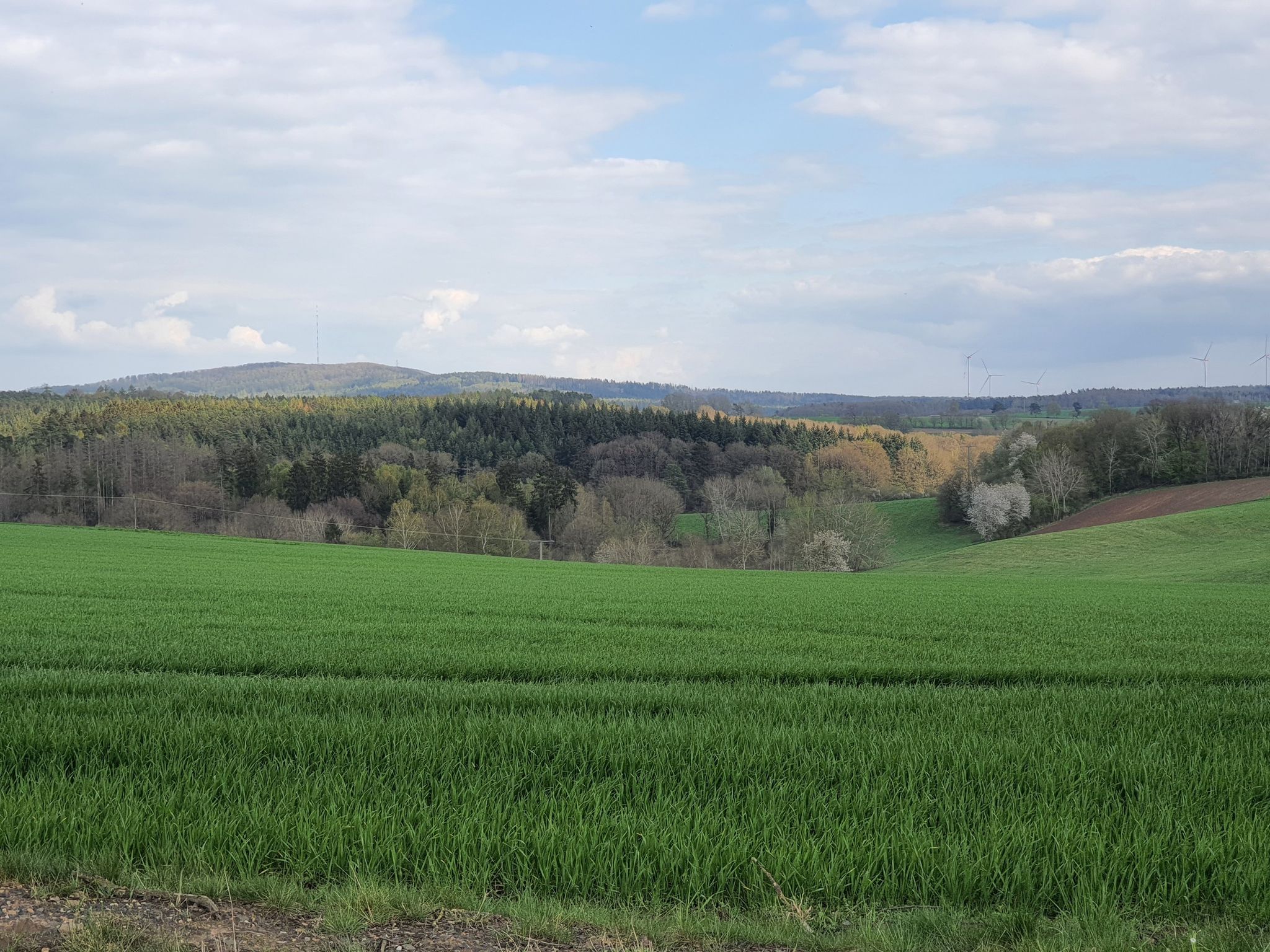 Kleinropperhausen