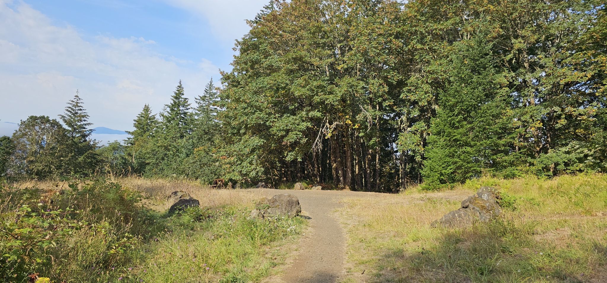 Grassy clearing with a path leading towards a dense forest and distant water. - Middle Dan's Trail – Dimple Hill loop from Brandis Natural Area