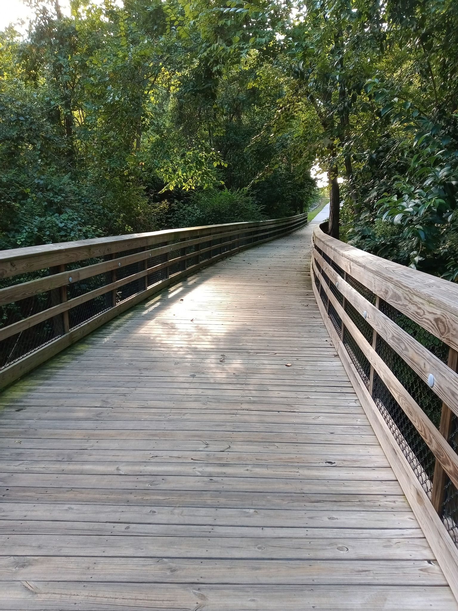 Wooden boardwalk curving through a lush forest with dappled sunlight. - Sam's Branch Greenway Trail loop from Clayton River Walk
