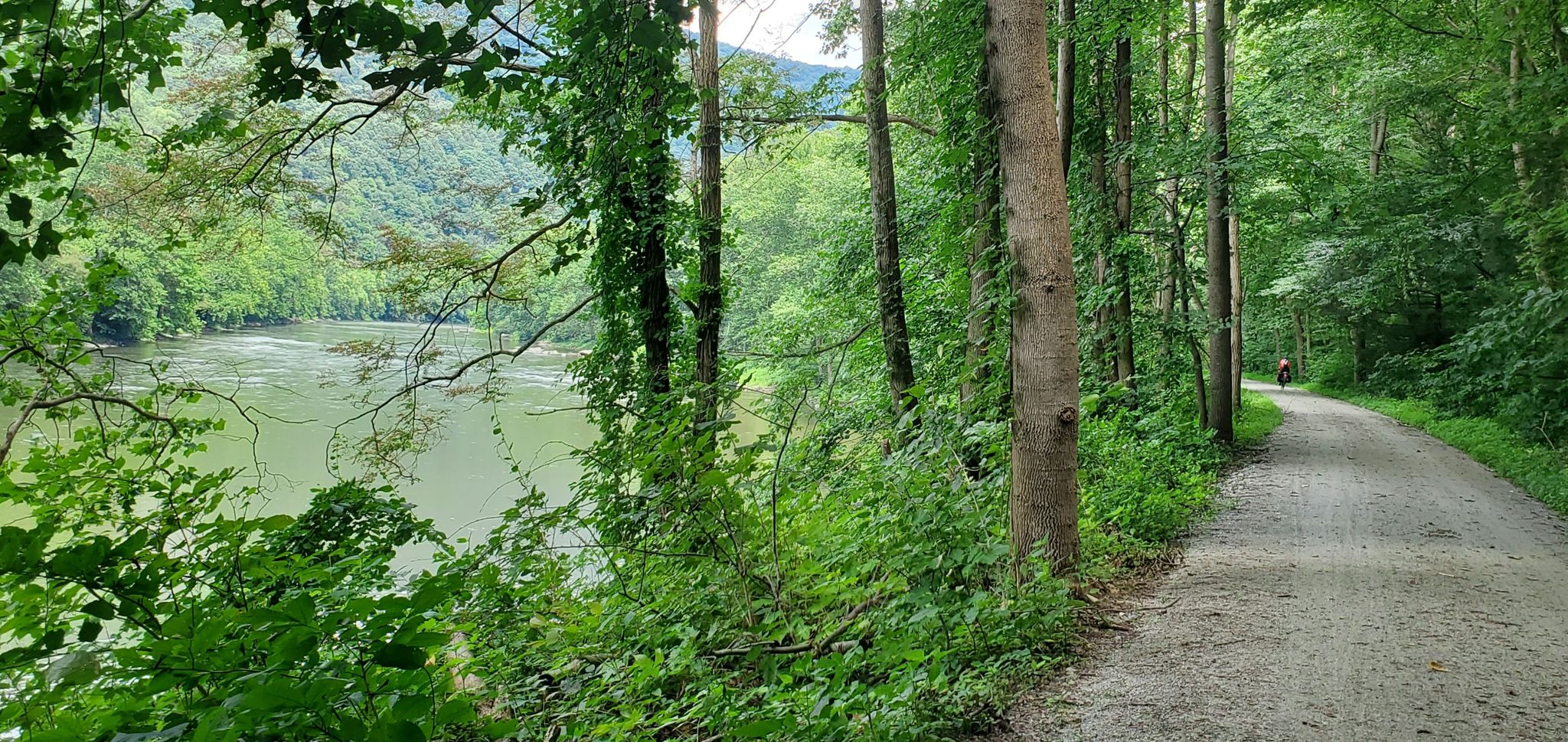 A dirt path next to a wide river, surrounded by green trees. - Great Allegheny Passage: Connellsville to Ohiopyle