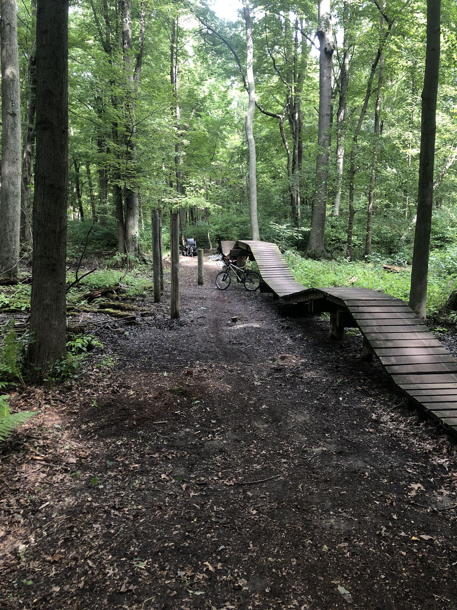 Mountain bike on a dirt path next to wooden ramps in a sun-dappled forest. - Hognose Trail loop from Swanton