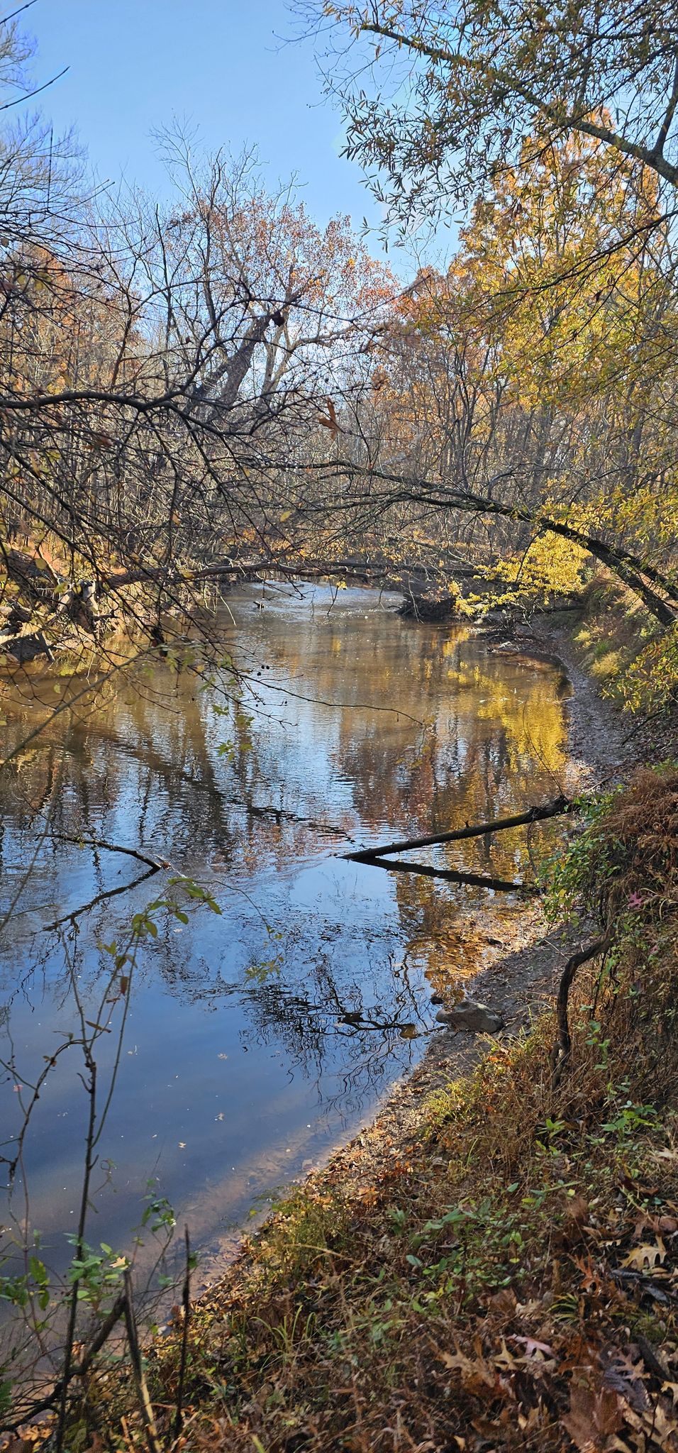 Sunny river flowing through a forest with autumn trees and reflections. - Algonkian Regional Park Woodland Trail