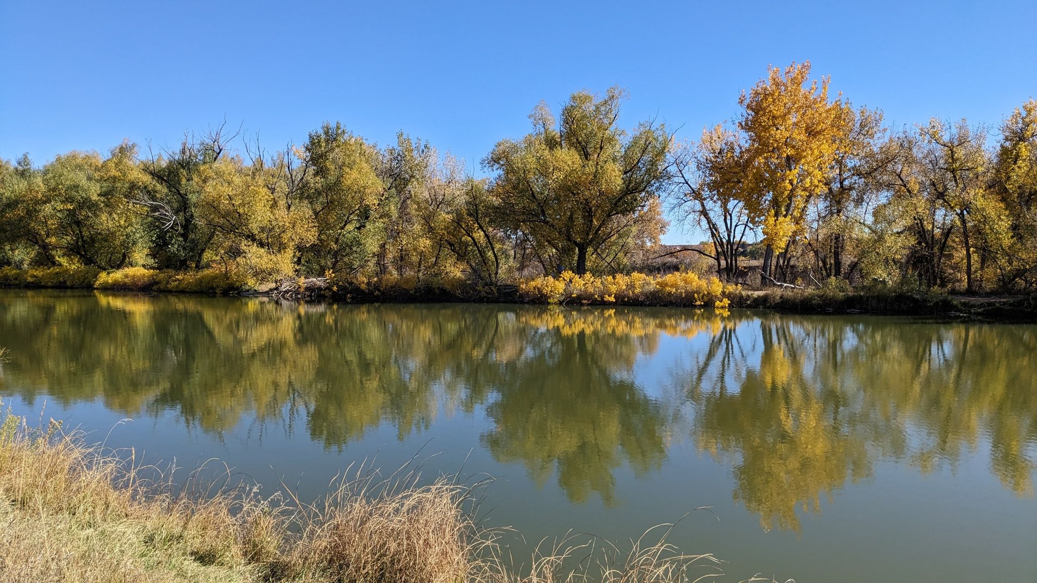 Calm river reflects vibrant autumn trees under a clear blue sky. - Bear Creek Trail to Stone House Trail Loop