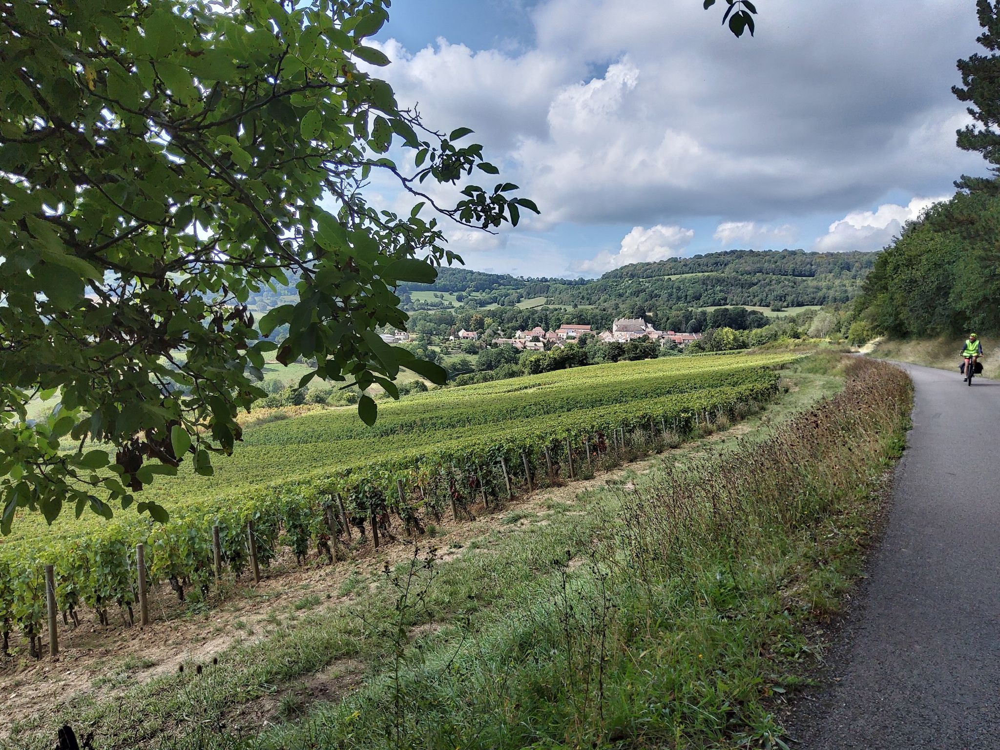 Hte côte de Beaune 