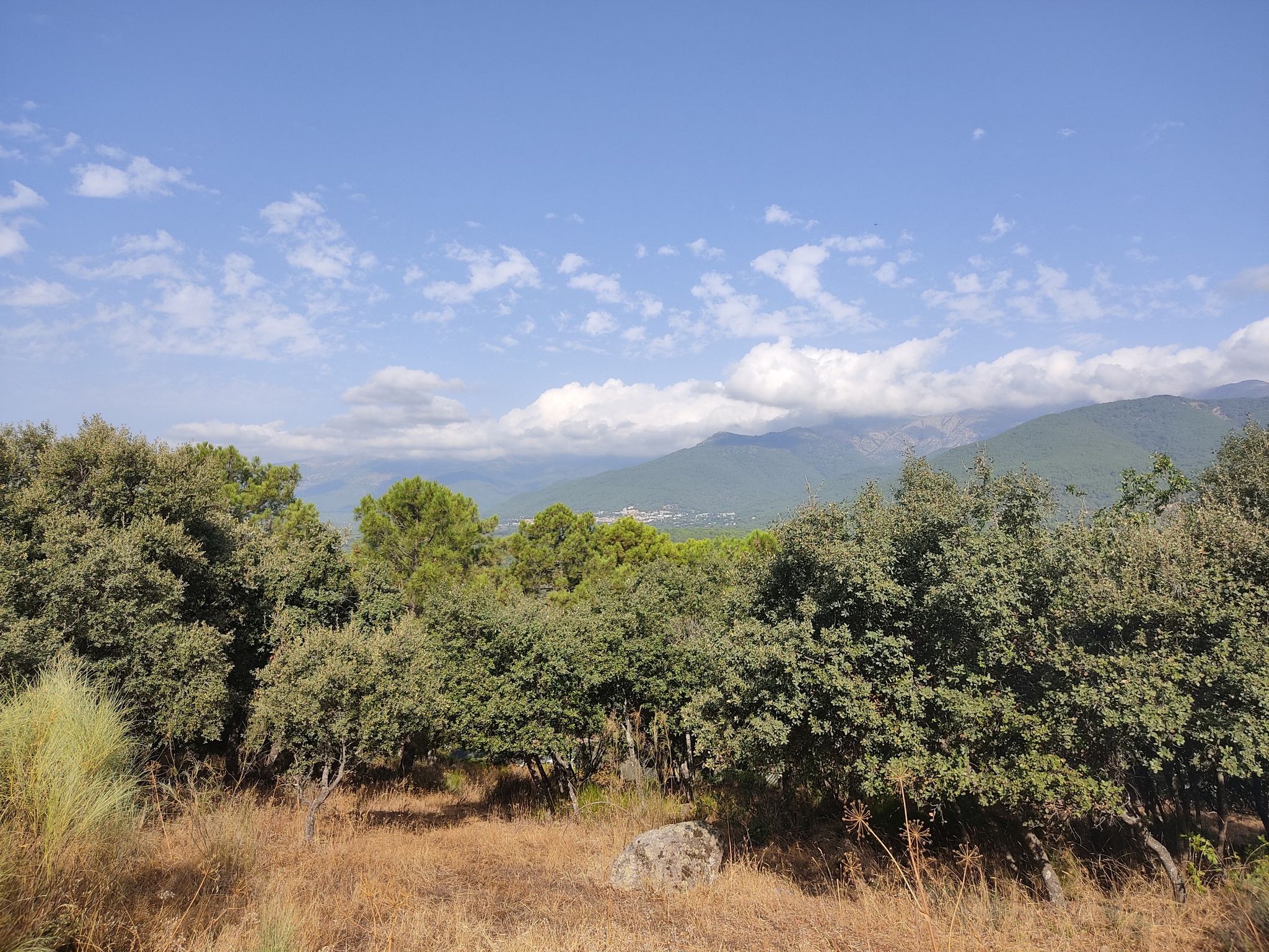 vistas