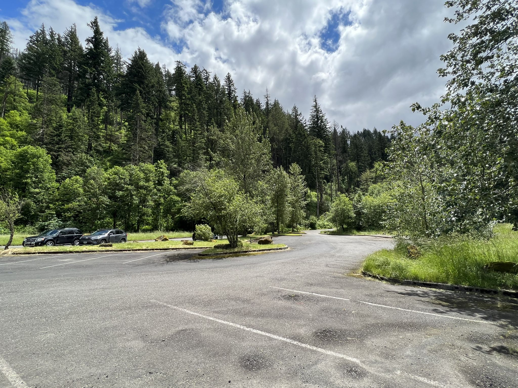 An empty paved parking lot surrounded by lush green forest under cloudy skies. - Historic Columbia River Highway State Trail