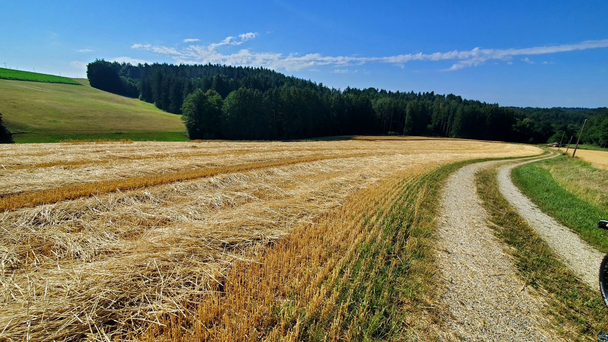 Goldgelbe Stoppelfelder 🌞