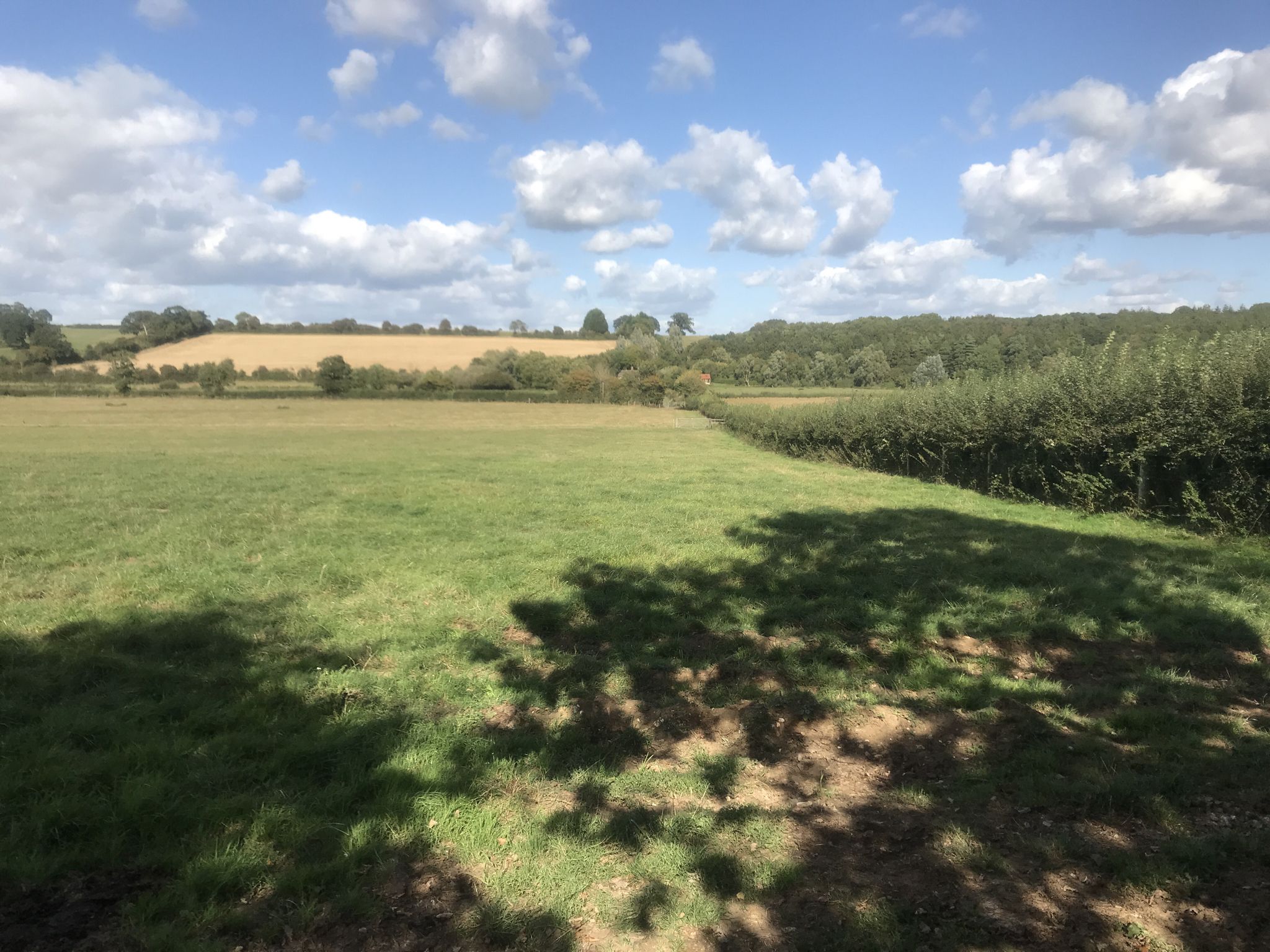 Komoot route finding field
