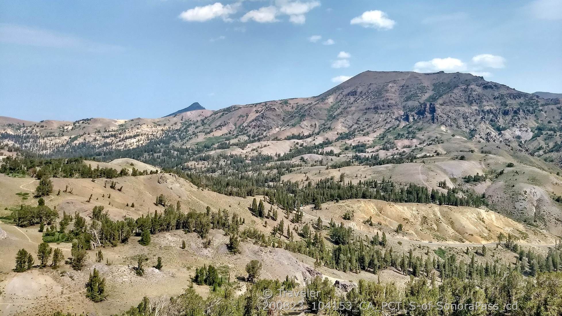 Sunny mountain landscape with rolling hills, scattered trees, and a blue sky. - Pacific Crest Trail to Leavitt Peak