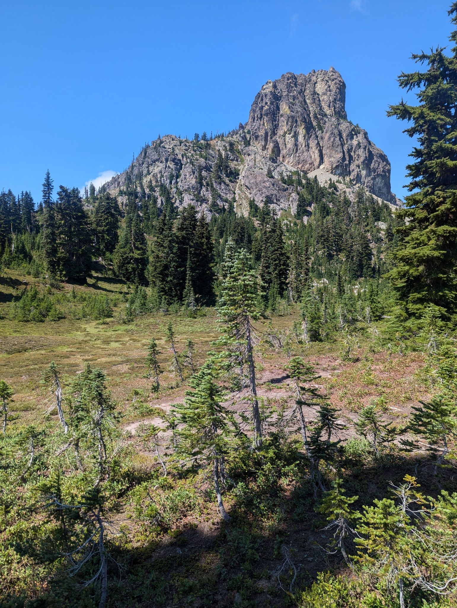 A towering rocky peak overlooks a sunny meadow surrounded by evergreen trees. - Mount Daniel and Peggy's Pond via Cathedral Pass Trail