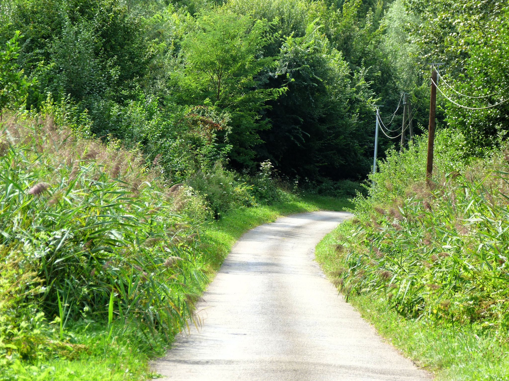 Going down to Longpont