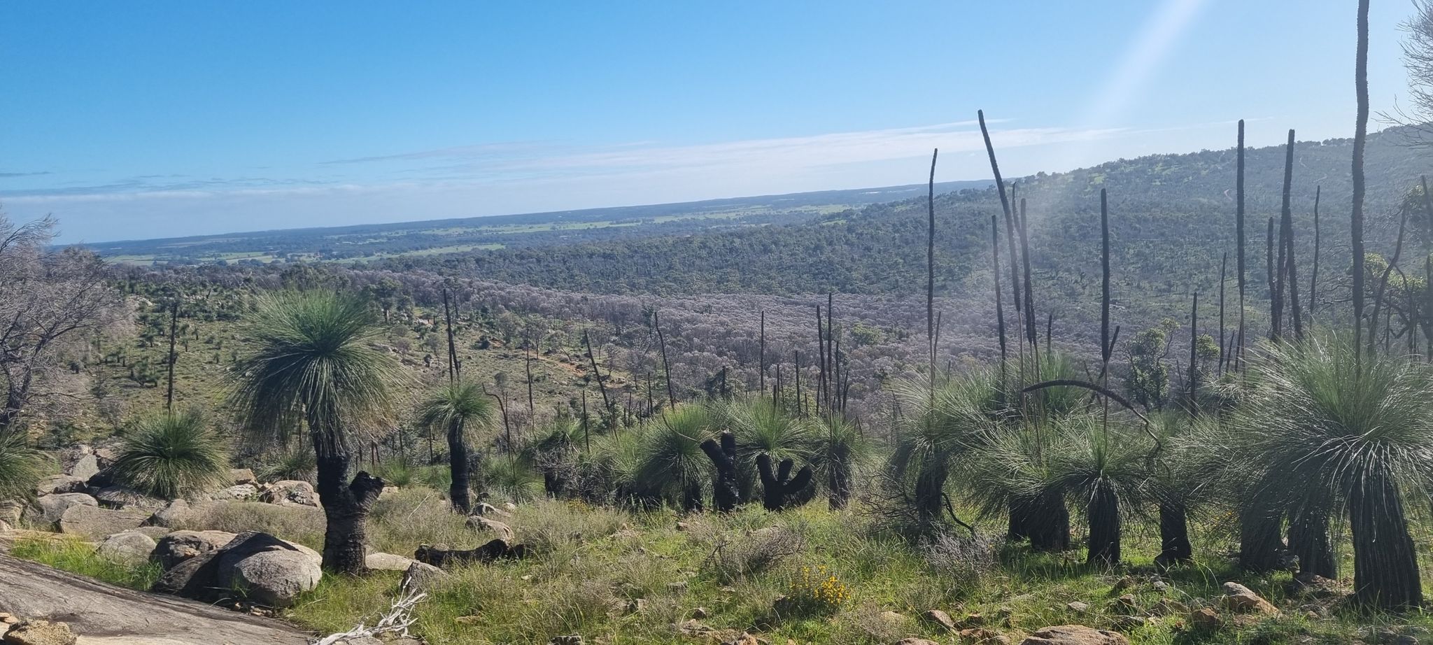 view out over swan vally