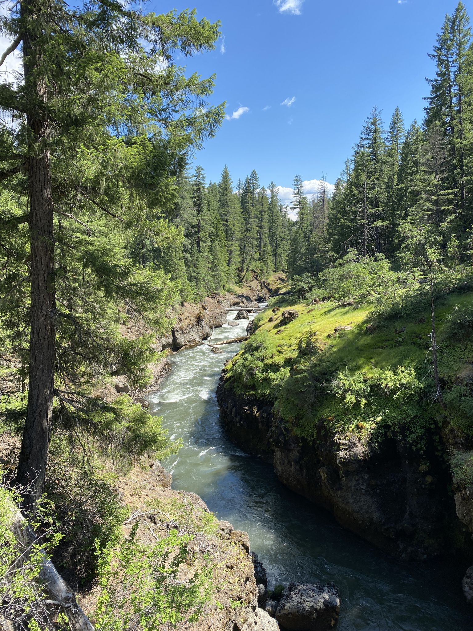 A winding river flows through a deep, forested canyon on a sunny day. - Upper Rogue River Trail
