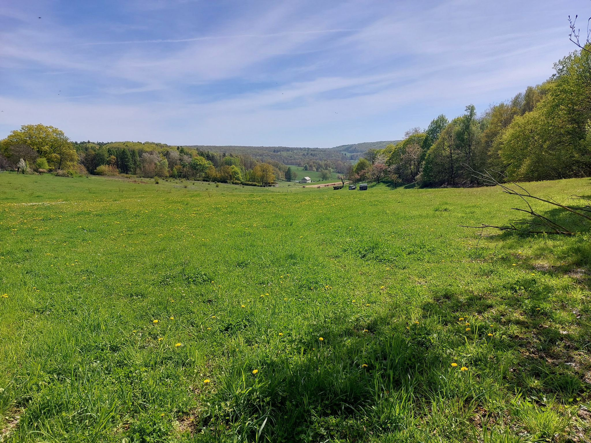 toller Blick zurück nach Burgwenden
