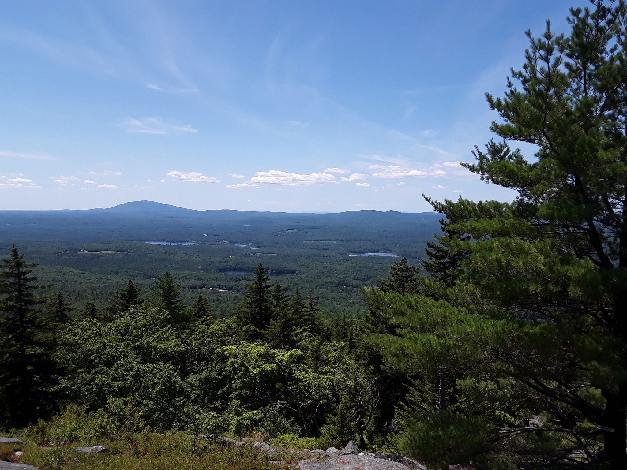 Panoramic view of a dense forest, lakes, and distant mountains under a blue sky. - Crotched Mountain loop from Fleck Conservation Area