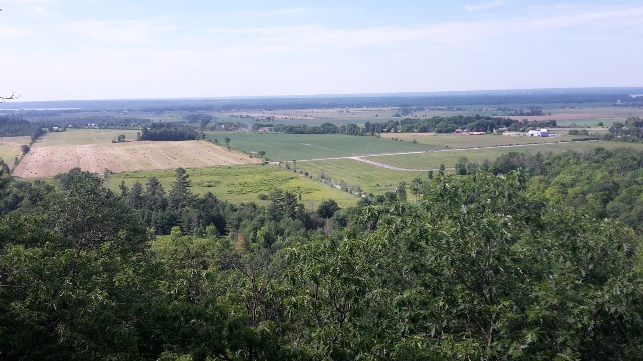 Lusk lookout 