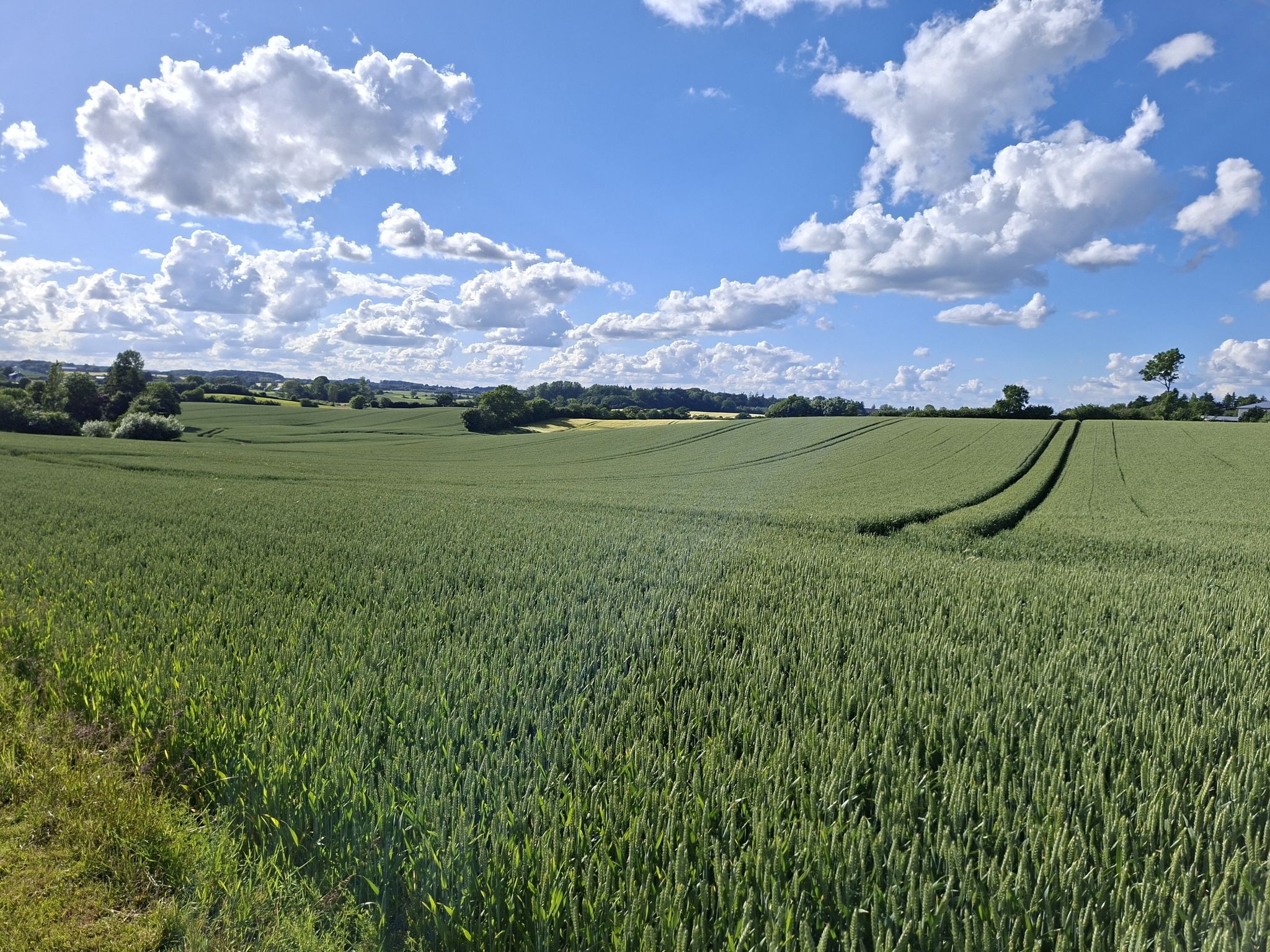 weites Land