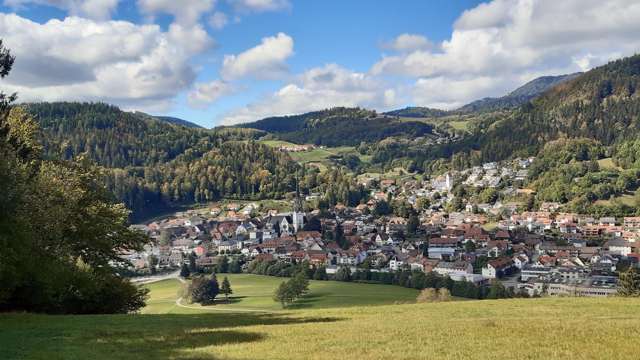 👁👁 Schönau